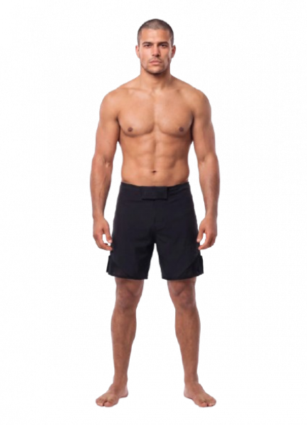 PitBull Trainingsshorts Jet Mesh Small Logo black